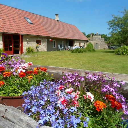 Ansumardi Farmstay Kavandi Exterior photo